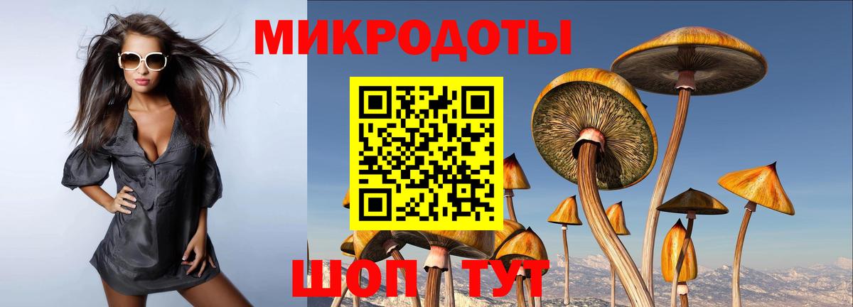 Галлюциногенные грибы мухоморы Сибай