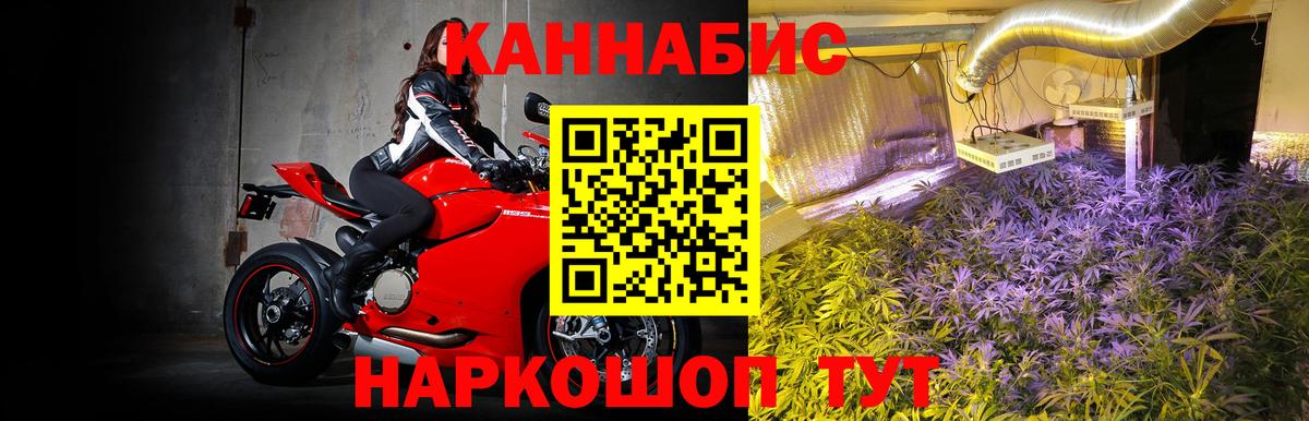 Бошки марихуана семена  Вход с VPN  Бошки Шишки конопля  Сибай  Каннабис план 
